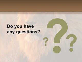 Stare Roar Africa PowerPoint Template