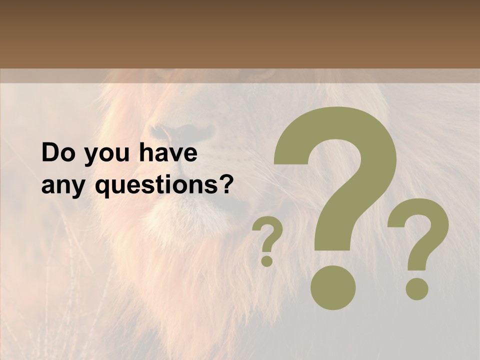 Stare Roar Africa PowerPoint Template