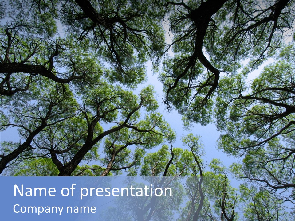 Sky Flora Scene PowerPoint Template