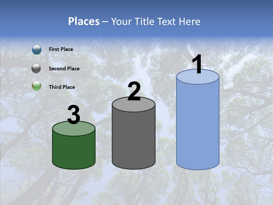 Sky Flora Scene PowerPoint Template