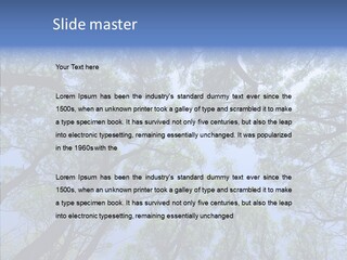 Sky Flora Scene PowerPoint Template