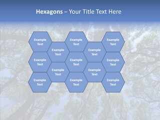 Sky Flora Scene PowerPoint Template
