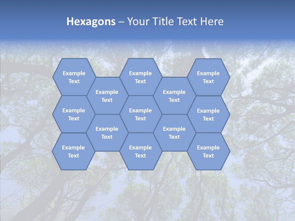 Sky Flora Scene PowerPoint Template