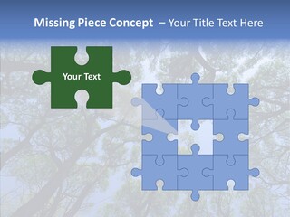 Sky Flora Scene PowerPoint Template
