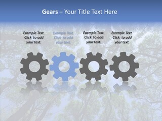 Sky Flora Scene PowerPoint Template