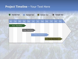 Sky Flora Scene PowerPoint Template