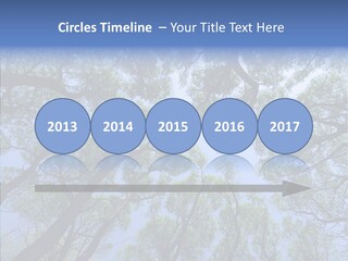 Sky Flora Scene PowerPoint Template