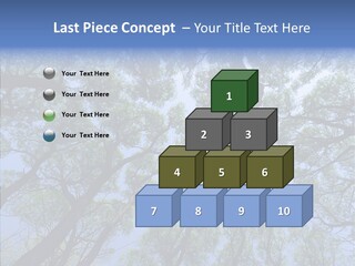 Sky Flora Scene PowerPoint Template