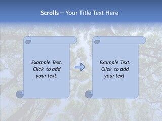Sky Flora Scene PowerPoint Template