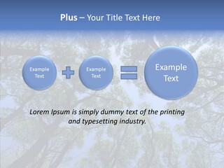Sky Flora Scene PowerPoint Template