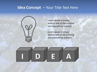 Sky Flora Scene PowerPoint Template