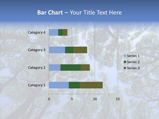 Sky Flora Scene PowerPoint Template