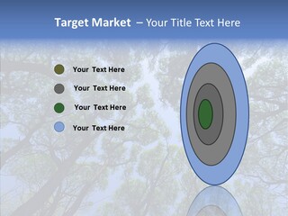 Sky Flora Scene PowerPoint Template