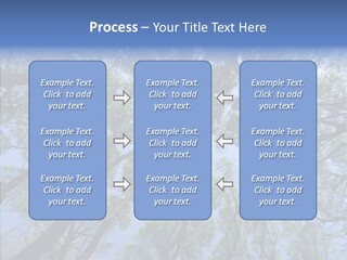 Sky Flora Scene PowerPoint Template