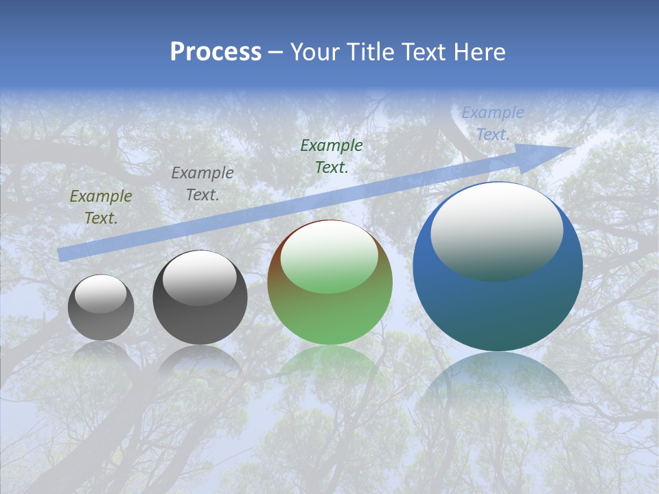 Sky Flora Scene PowerPoint Template