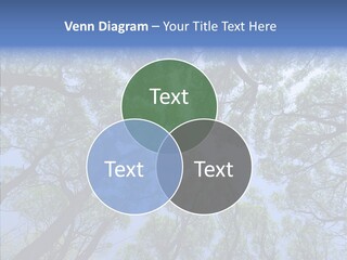Sky Flora Scene PowerPoint Template