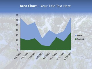 Sky Flora Scene PowerPoint Template
