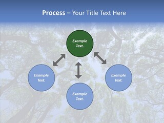 Sky Flora Scene PowerPoint Template
