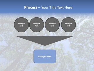 Sky Flora Scene PowerPoint Template