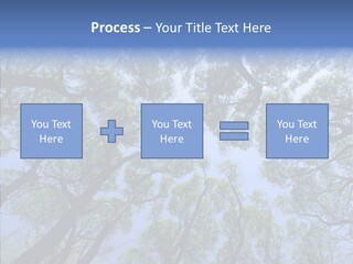 Sky Flora Scene PowerPoint Template