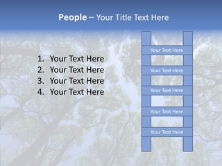 Sky Flora Scene PowerPoint Template