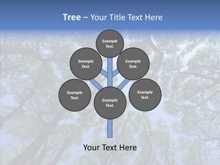 Sky Flora Scene PowerPoint Template