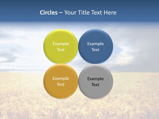 Cloudy Care Harvest PowerPoint Template