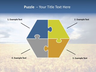 Cloudy Care Harvest PowerPoint Template