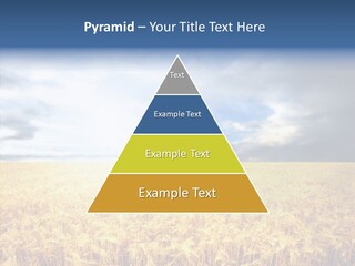 Cloudy Care Harvest PowerPoint Template