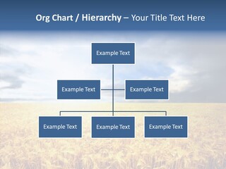 Cloudy Care Harvest PowerPoint Template