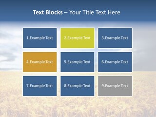 Cloudy Care Harvest PowerPoint Template