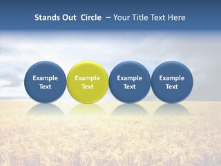 Cloudy Care Harvest PowerPoint Template