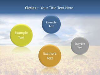 Cloudy Care Harvest PowerPoint Template