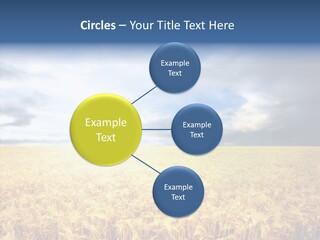 Cloudy Care Harvest PowerPoint Template