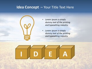 Cloudy Care Harvest PowerPoint Template
