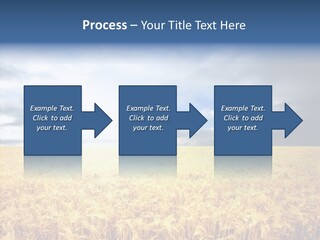 Cloudy Care Harvest PowerPoint Template