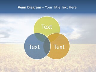 Cloudy Care Harvest PowerPoint Template