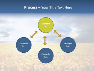Cloudy Care Harvest PowerPoint Template