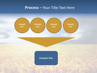 Cloudy Care Harvest PowerPoint Template