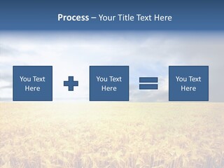 Cloudy Care Harvest PowerPoint Template
