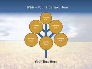 Cloudy Care Harvest PowerPoint Template