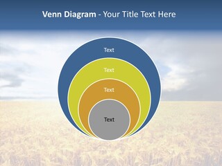 Cloudy Care Harvest PowerPoint Template