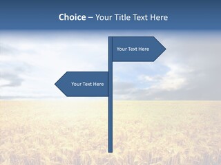 Cloudy Care Harvest PowerPoint Template
