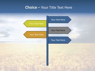 Cloudy Care Harvest PowerPoint Template