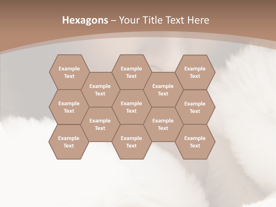 Glamour Beautiful People PowerPoint Template