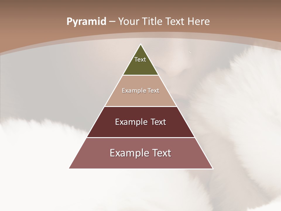 Glamour Beautiful People PowerPoint Template