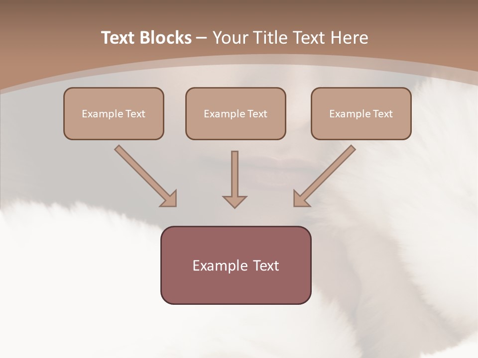 Glamour Beautiful People PowerPoint Template