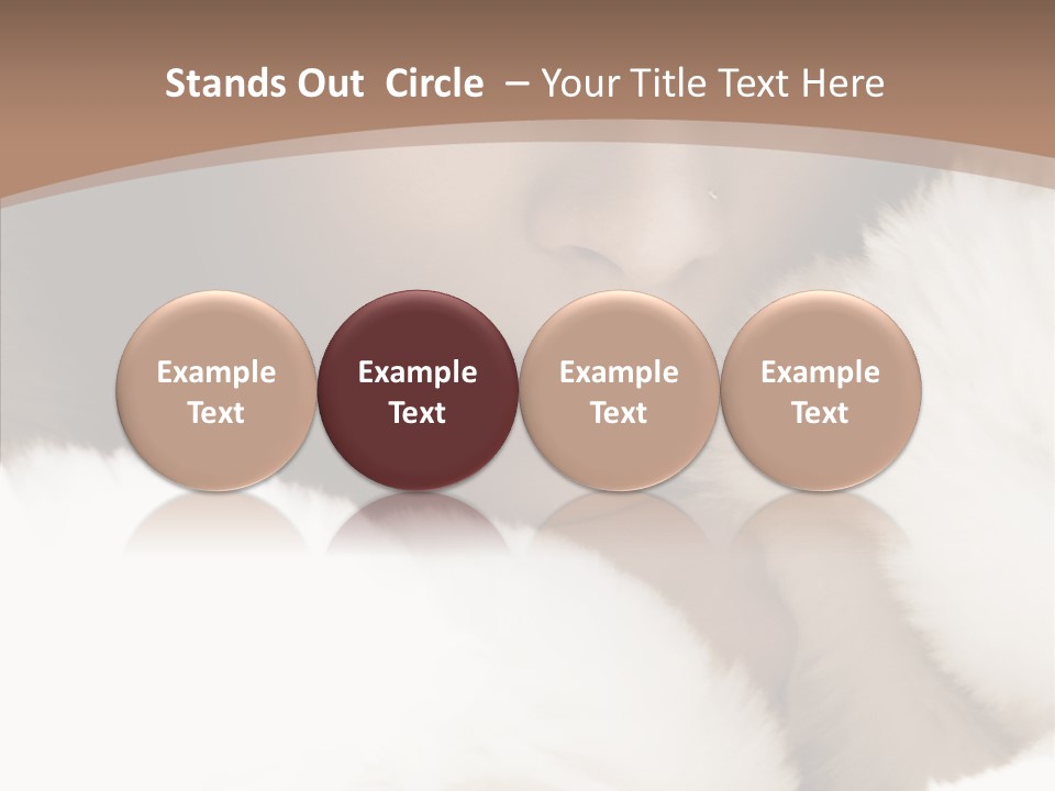 Glamour Beautiful People PowerPoint Template