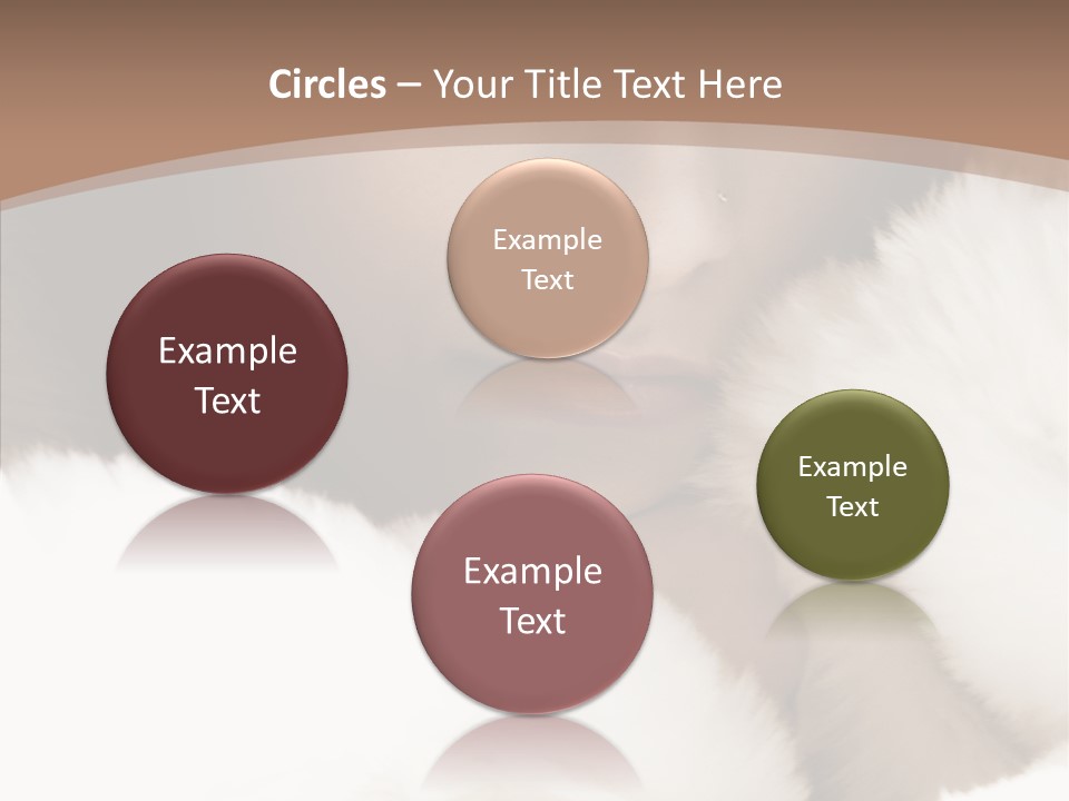 Glamour Beautiful People PowerPoint Template