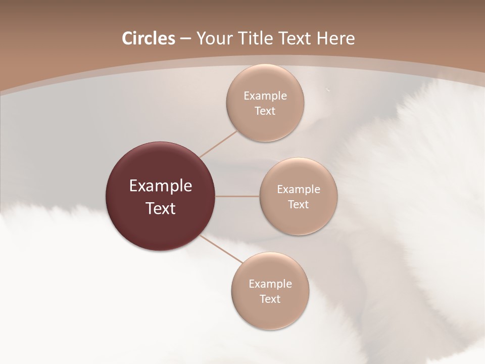 Glamour Beautiful People PowerPoint Template